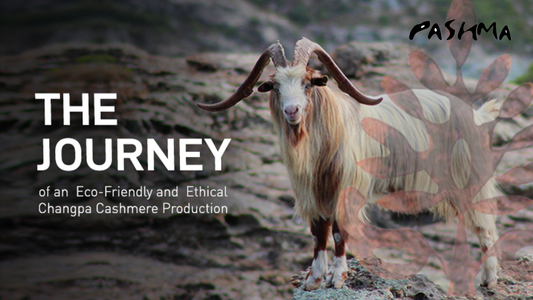 Unveiling the legacy of Changpa Cashmere- Where tradition and devotion meet in every thread