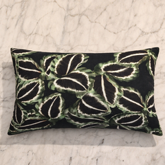 Declan - Cotton Printed Cushion